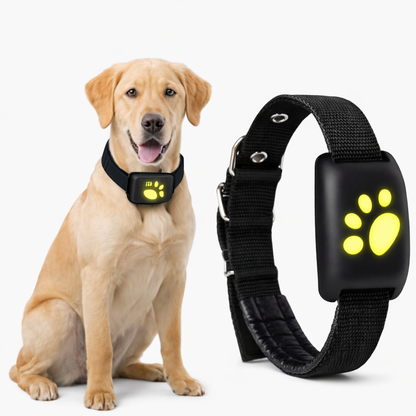 Lockd'In Smart Pet gps collar