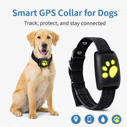 Lockd'In Smart Pet gps collar