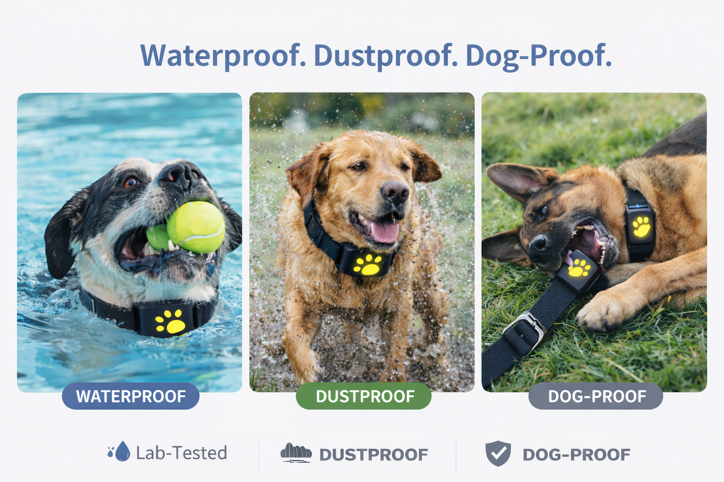 Lockd'In Smart Pet gps collar