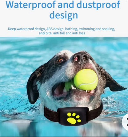 Lockd'In Smart Pet gps collar