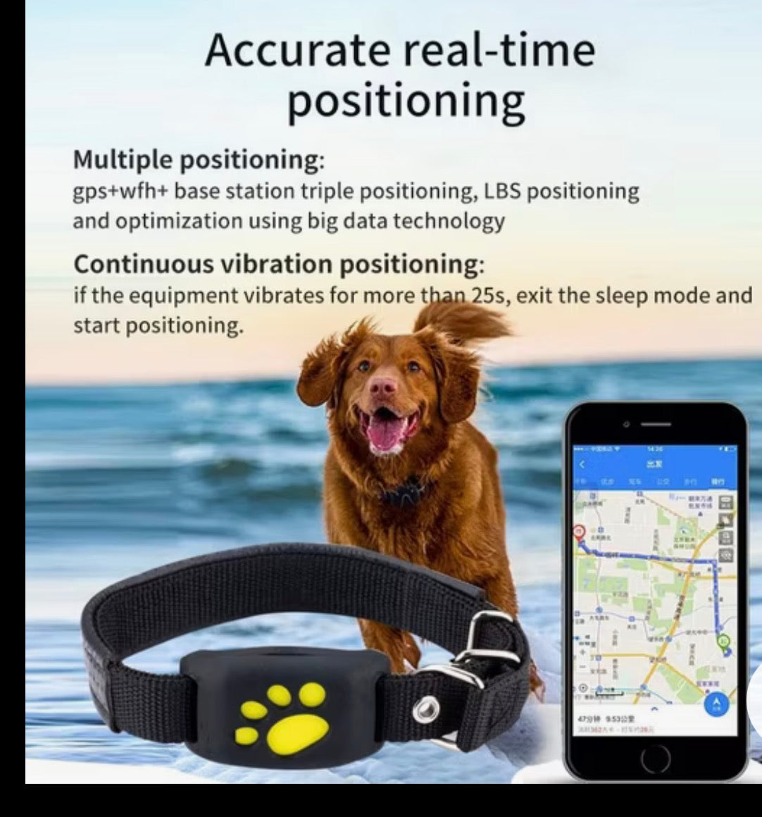 Lockd'In Smart Pet gps collar