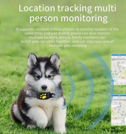 Lockd'In Smart Pet gps collar